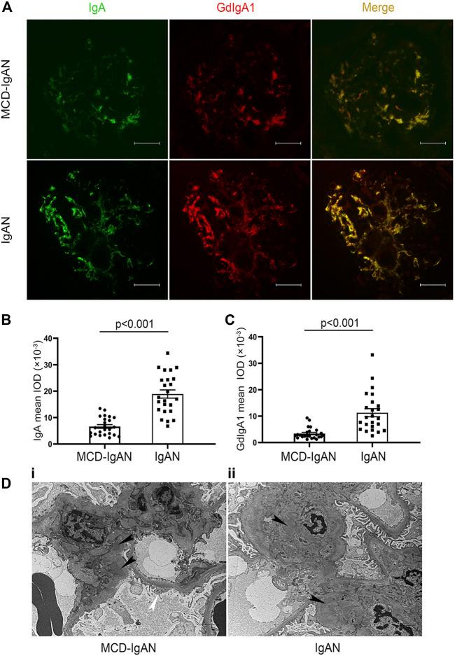 https://cdn.ncbi.nlm.nih.gov/pmc/blobs/2415/8716750/93b302eccb45/fphar-12-793511-g002.jpg
