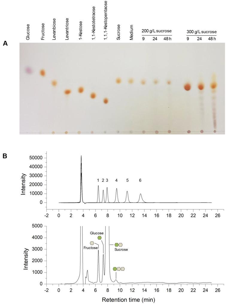 https://cdn.ncbi.nlm.nih.gov/pmc/blobs/2416/11540611/bf605993a59e/jmb-34-10-1959-f4.jpg
