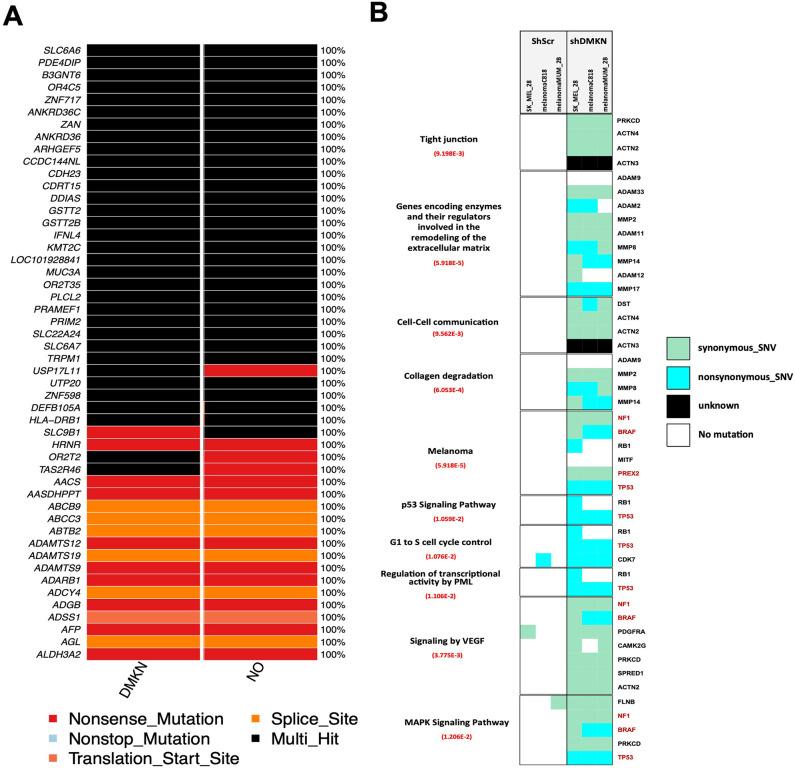 https://cdn.ncbi.nlm.nih.gov/pmc/blobs/2417/10335698/fbf101c5b64c/pone.0285806.g005.jpg
