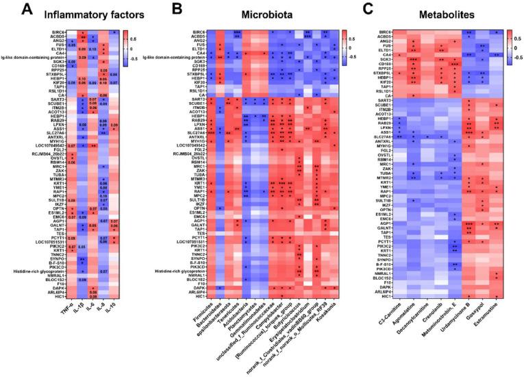 https://cdn.ncbi.nlm.nih.gov/pmc/blobs/2418/12173120/021ab7ddee29/gr7.jpg