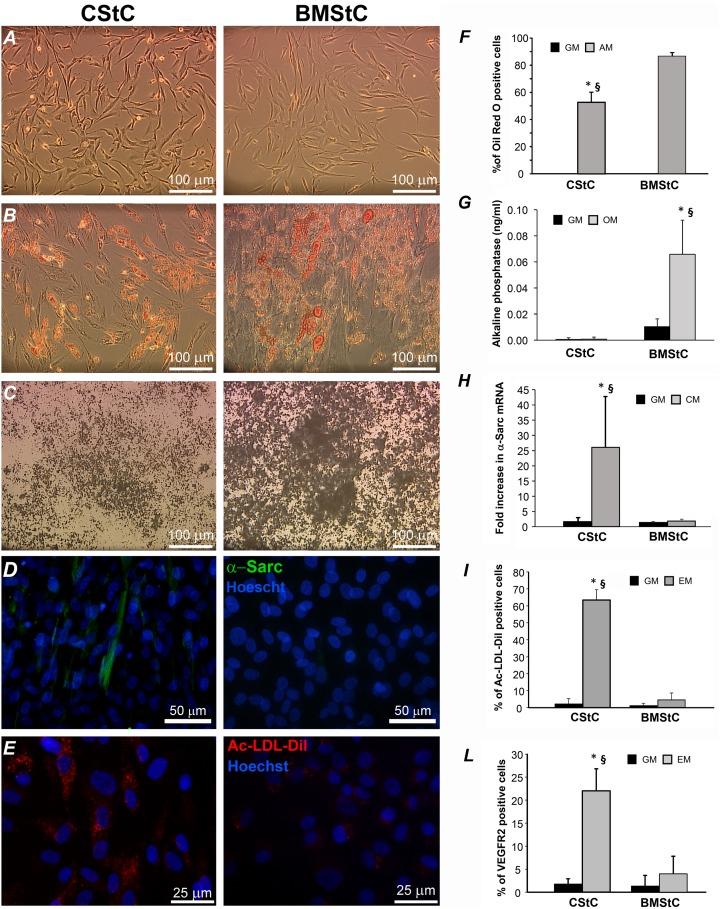 https://cdn.ncbi.nlm.nih.gov/pmc/blobs/2418/4169443/6898cf582693/pone.0107269.g001.jpg