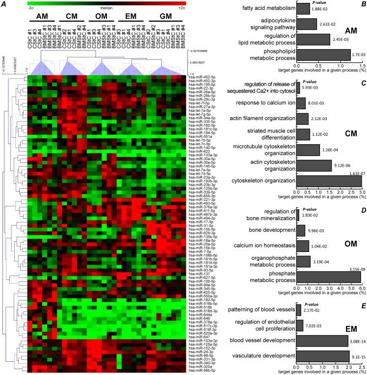 https://cdn.ncbi.nlm.nih.gov/pmc/blobs/2418/4169443/e7a23eeafac3/pone.0107269.g004.jpg