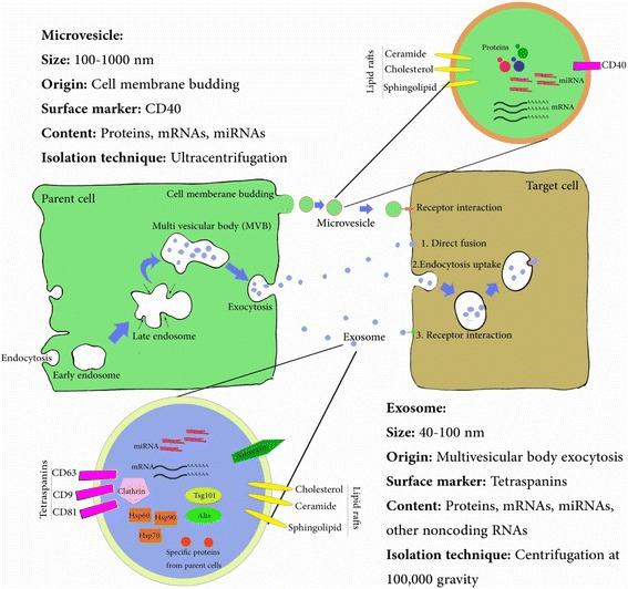 https://cdn.ncbi.nlm.nih.gov/pmc/blobs/2419/5845209/26292b8199f4/13287_2018_791_Fig1_HTML.jpg