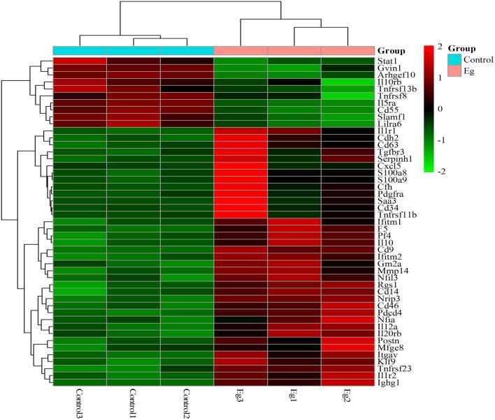 https://cdn.ncbi.nlm.nih.gov/pmc/blobs/241b/9082817/882ac6a68b41/fvets-09-848458-g0005.jpg