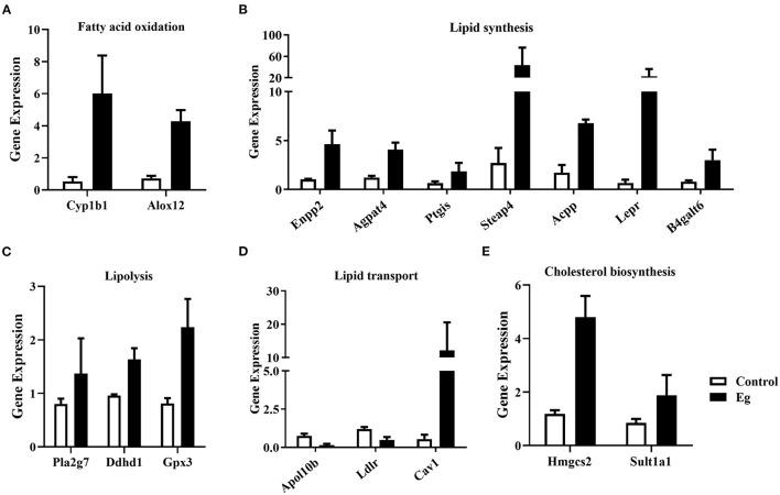 https://cdn.ncbi.nlm.nih.gov/pmc/blobs/241b/9082817/cb24e8393aa5/fvets-09-848458-g0006.jpg
