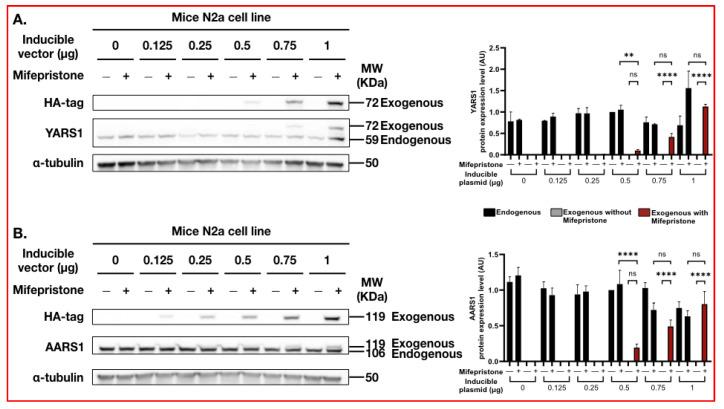 https://cdn.ncbi.nlm.nih.gov/pmc/blobs/241d/10670994/540ee574e80a/ijms-24-16138-g003.jpg