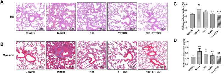 https://cdn.ncbi.nlm.nih.gov/pmc/blobs/241d/12087589/185344bbec87/DDDT-19-3983-g0002.jpg