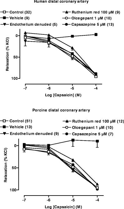 https://cdn.ncbi.nlm.nih.gov/pmc/blobs/2421/1915621/4ce34f7f654a/210_2007_137_Fig1_HTML.jpg