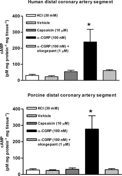 https://cdn.ncbi.nlm.nih.gov/pmc/blobs/2421/1915621/a08c6eb1f977/210_2007_137_Fig3_HTML.jpg