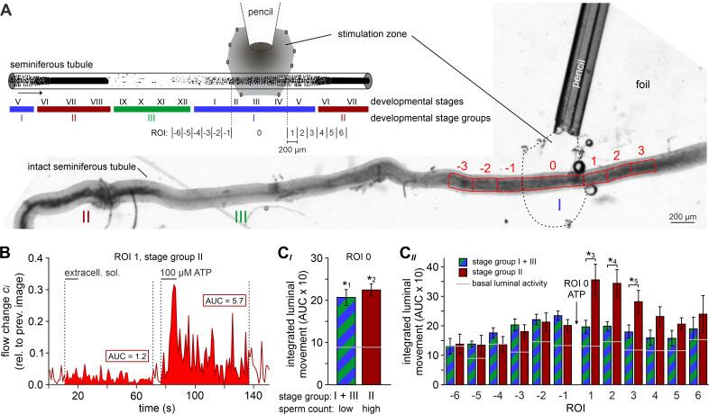 https://cdn.ncbi.nlm.nih.gov/pmc/blobs/2421/7840184/8a81f49d8e4c/elife-62885-fig5.jpg