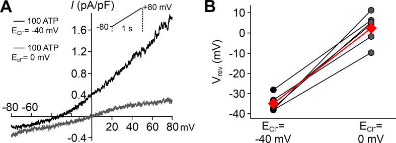 https://cdn.ncbi.nlm.nih.gov/pmc/blobs/2421/7840184/c63a1a63a0d5/elife-62885-fig1-figsupp2.jpg