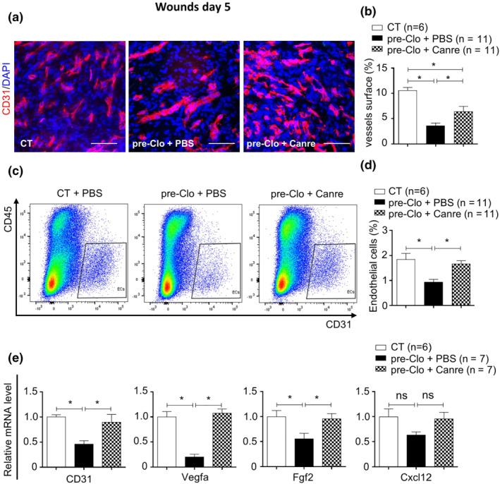 https://cdn.ncbi.nlm.nih.gov/pmc/blobs/2422/9826027/b334fa54ca29/BPH-179-5222-g001.jpg