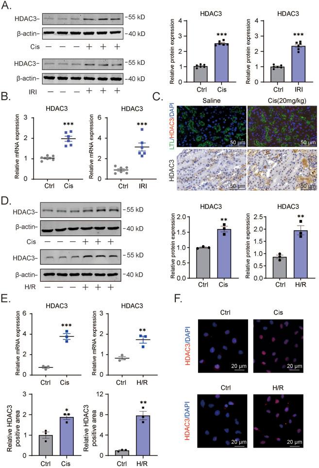 https://cdn.ncbi.nlm.nih.gov/pmc/blobs/2424/12061726/843b8f910238/fphar-16-1546950-g001.jpg