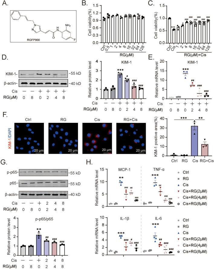 https://cdn.ncbi.nlm.nih.gov/pmc/blobs/2424/12061726/cfa3e008df99/fphar-16-1546950-g002.jpg