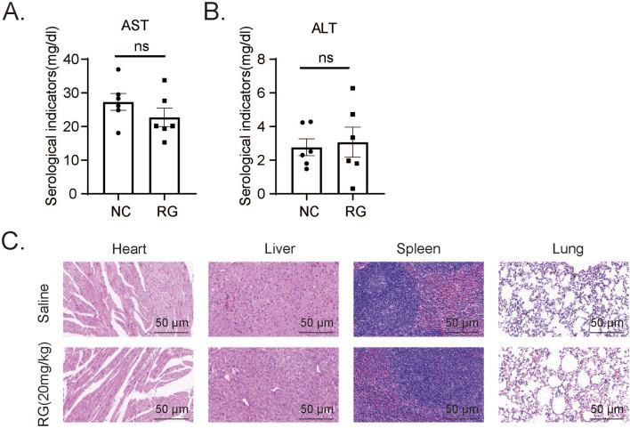 https://cdn.ncbi.nlm.nih.gov/pmc/blobs/2424/12061726/eef3859ba874/fphar-16-1546950-g008.jpg