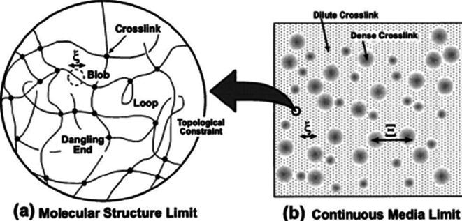 https://cdn.ncbi.nlm.nih.gov/pmc/blobs/2425/12014241/dbf196e0c348/rsos.242149.f013.jpg