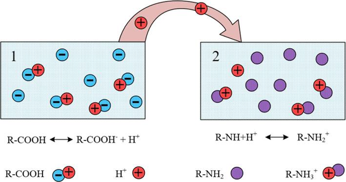 https://cdn.ncbi.nlm.nih.gov/pmc/blobs/2425/12014241/fd74e5a3b823/rsos.242149.f015.jpg