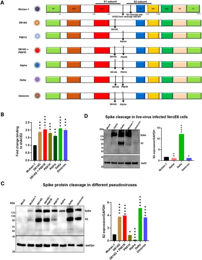 https://cdn.ncbi.nlm.nih.gov/pmc/blobs/2425/9925523/15b0c49db4c5/430_2022_760_Fig1_HTML.jpg