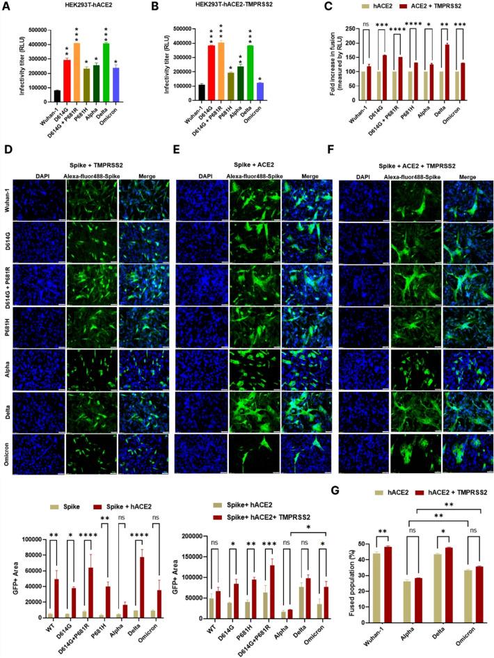 https://cdn.ncbi.nlm.nih.gov/pmc/blobs/2425/9925523/6f32273b4b96/430_2022_760_Fig2_HTML.jpg