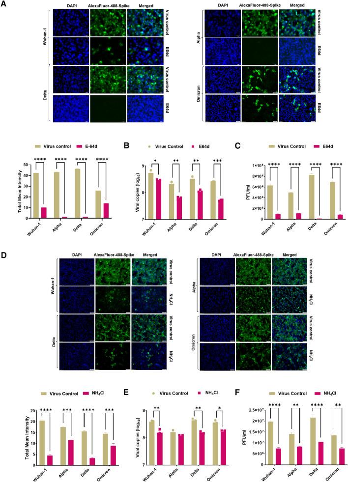 https://cdn.ncbi.nlm.nih.gov/pmc/blobs/2425/9925523/861362611a36/430_2022_760_Fig5_HTML.jpg