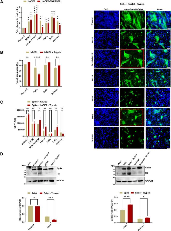 https://cdn.ncbi.nlm.nih.gov/pmc/blobs/2425/9925523/a52fe5a768b3/430_2022_760_Fig3_HTML.jpg
