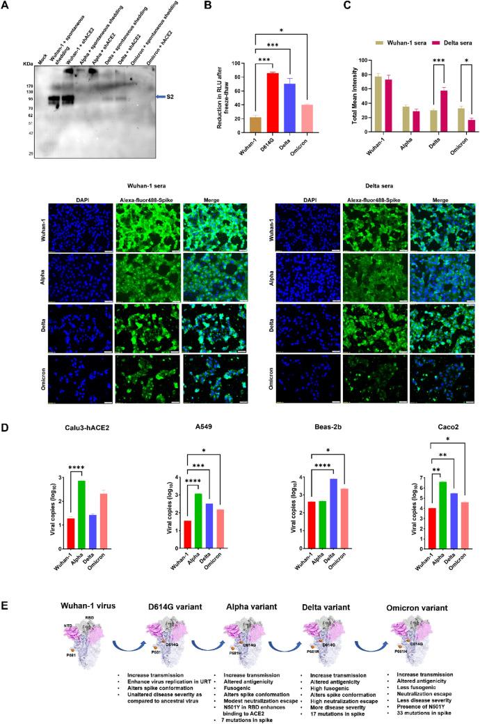 https://cdn.ncbi.nlm.nih.gov/pmc/blobs/2425/9925523/be4a83e7e921/430_2022_760_Fig7_HTML.jpg