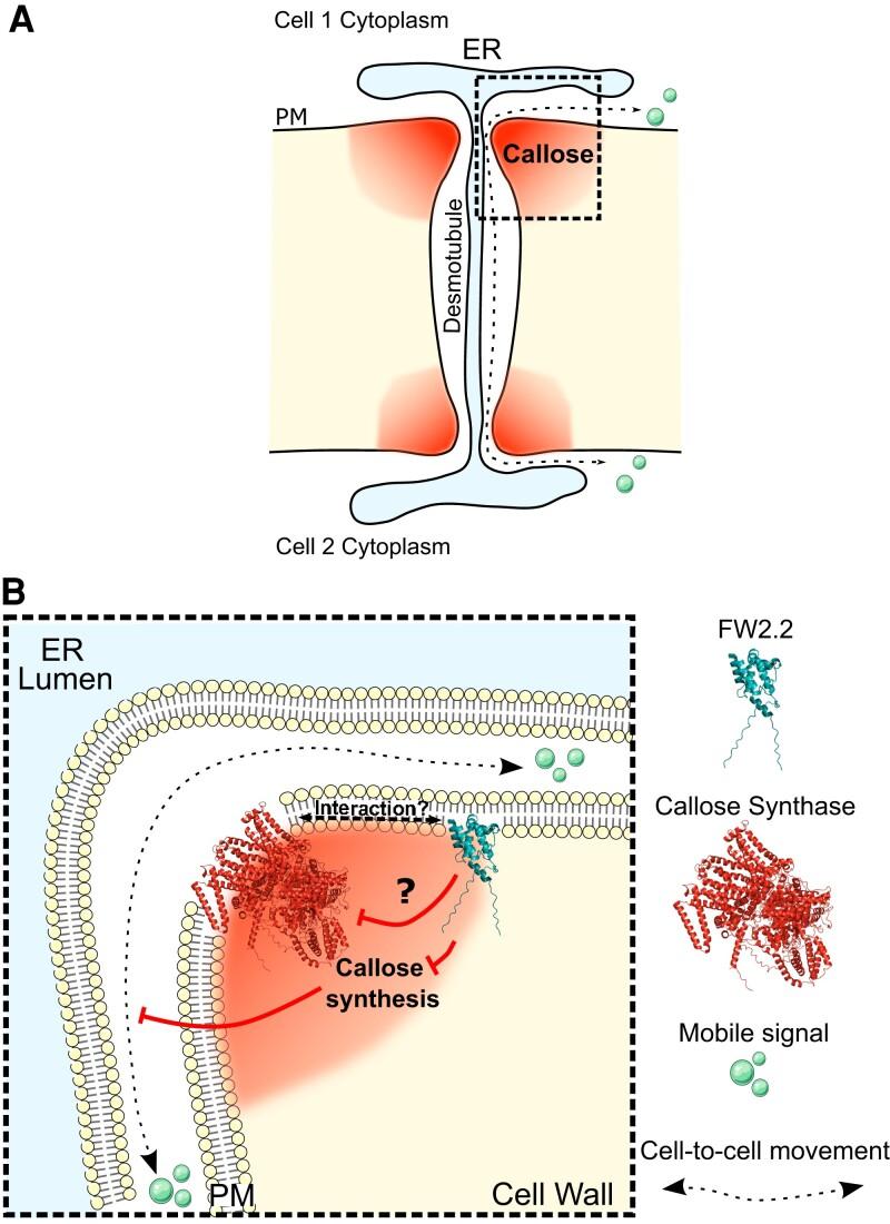 https://cdn.ncbi.nlm.nih.gov/pmc/blobs/2426/11444278/d047eab02ff7/kiae198f7.jpg