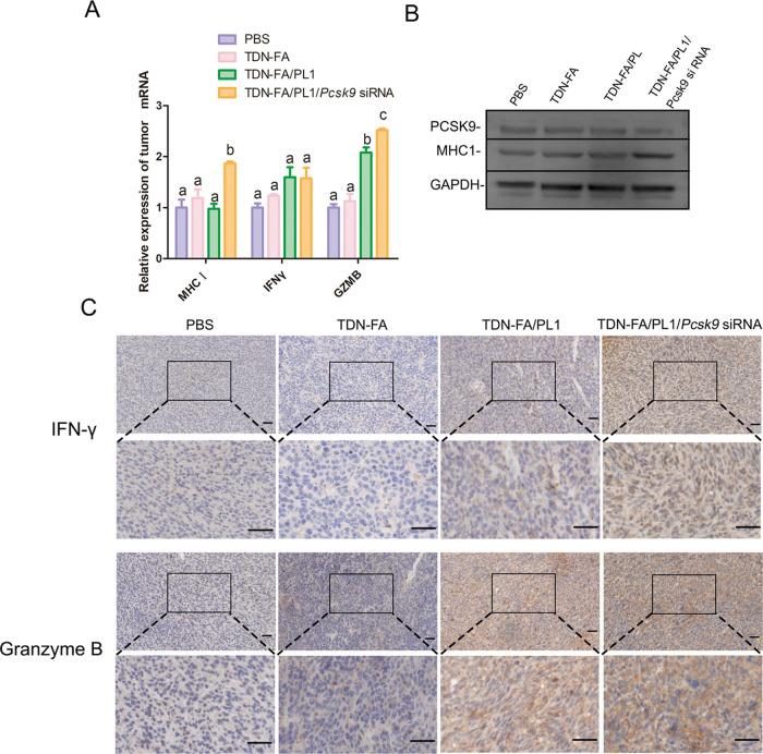 https://cdn.ncbi.nlm.nih.gov/pmc/blobs/2426/9305706/4c33e5d5cc6a/am2c06001_0007.jpg