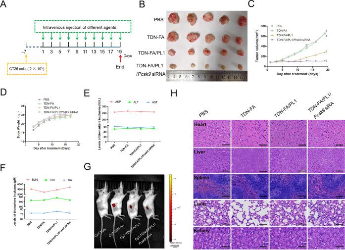 https://cdn.ncbi.nlm.nih.gov/pmc/blobs/2426/9305706/fd599ba4ea0b/am2c06001_0006.jpg
