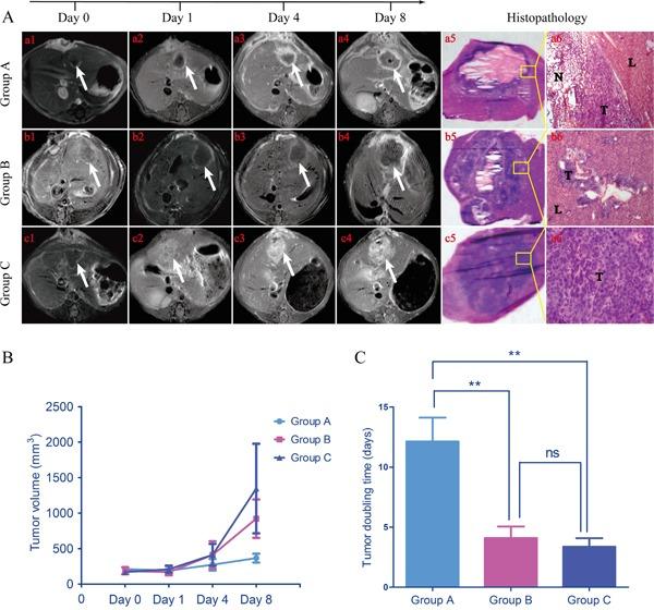 https://cdn.ncbi.nlm.nih.gov/pmc/blobs/2428/5239487/7b17f446260b/oncotarget-07-51450-g003.jpg
