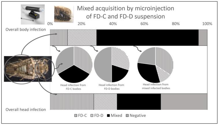 https://cdn.ncbi.nlm.nih.gov/pmc/blobs/2429/10380400/eb512f82daf2/insects-14-00575-g002.jpg