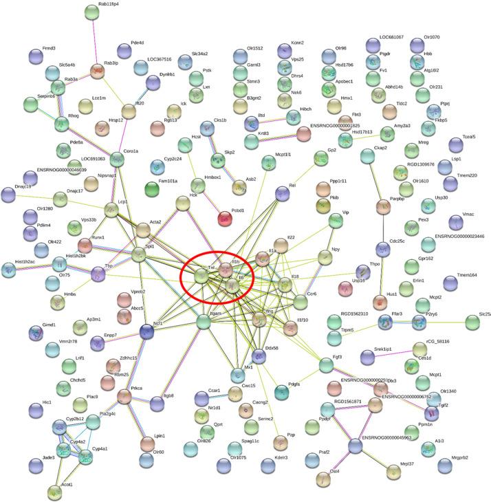 https://cdn.ncbi.nlm.nih.gov/pmc/blobs/2429/7666563/bac48cc71cb0/peerj-08-10310-g005.jpg