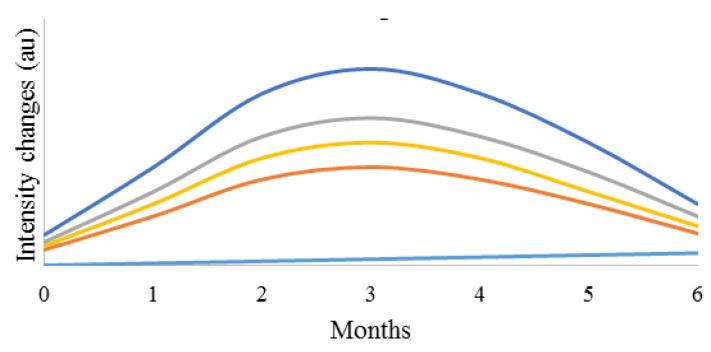 https://cdn.ncbi.nlm.nih.gov/pmc/blobs/242c/8402025/b82ae3585198/polymers-13-02671-g012.jpg