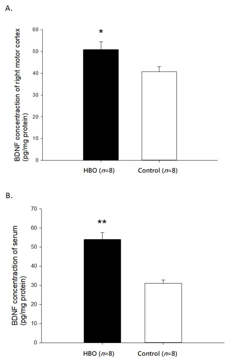 https://cdn.ncbi.nlm.nih.gov/pmc/blobs/242d/8836673/4bb7063e85eb/ijms-23-01780-g006.jpg