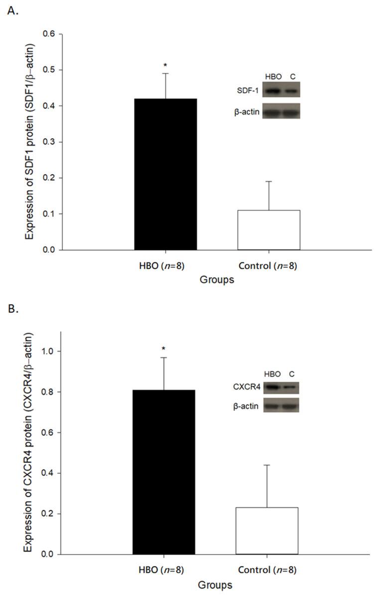 https://cdn.ncbi.nlm.nih.gov/pmc/blobs/242d/8836673/62bbb27757a8/ijms-23-01780-g002.jpg