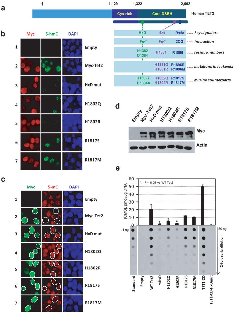 https://cdn.ncbi.nlm.nih.gov/pmc/blobs/242e/3003755/c6a98fe5c831/nihms247005f1.jpg