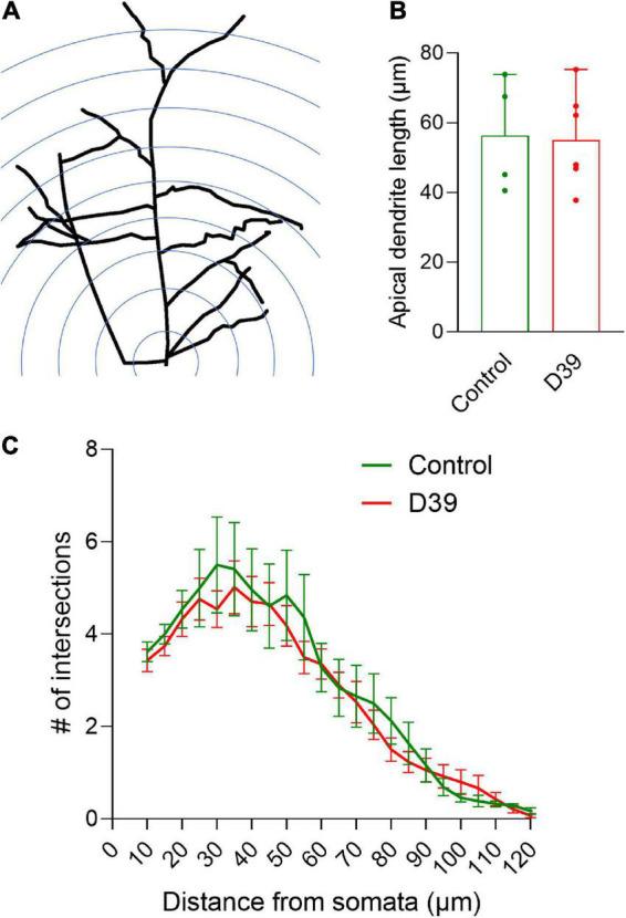 https://cdn.ncbi.nlm.nih.gov/pmc/blobs/242e/9871924/965fe2c338fa/fnins-16-912445-g003.jpg