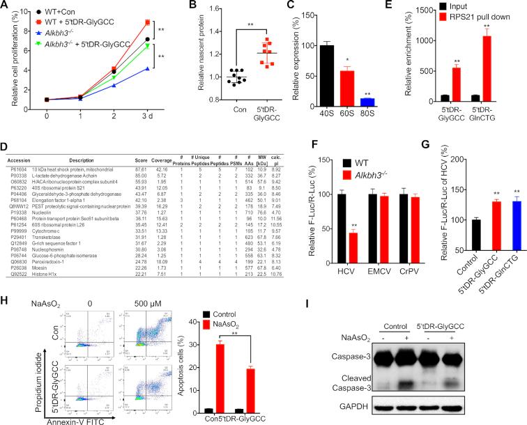 https://cdn.ncbi.nlm.nih.gov/pmc/blobs/2432/6411830/7610c0d10d11/gky1250fig6.jpg