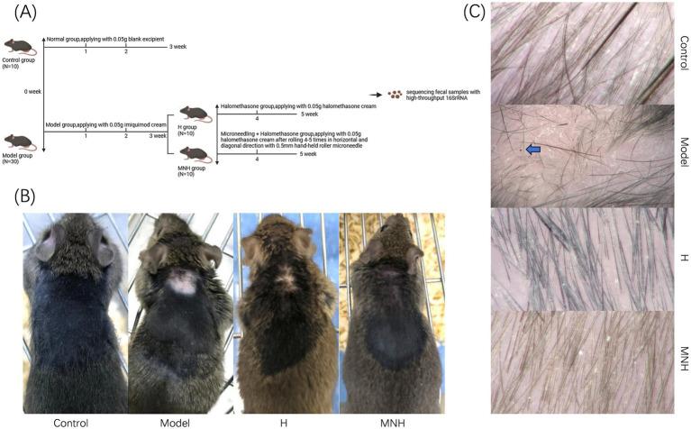 https://cdn.ncbi.nlm.nih.gov/pmc/blobs/2436/12405465/621baa4331a1/fmicb-16-1649496-g001.jpg