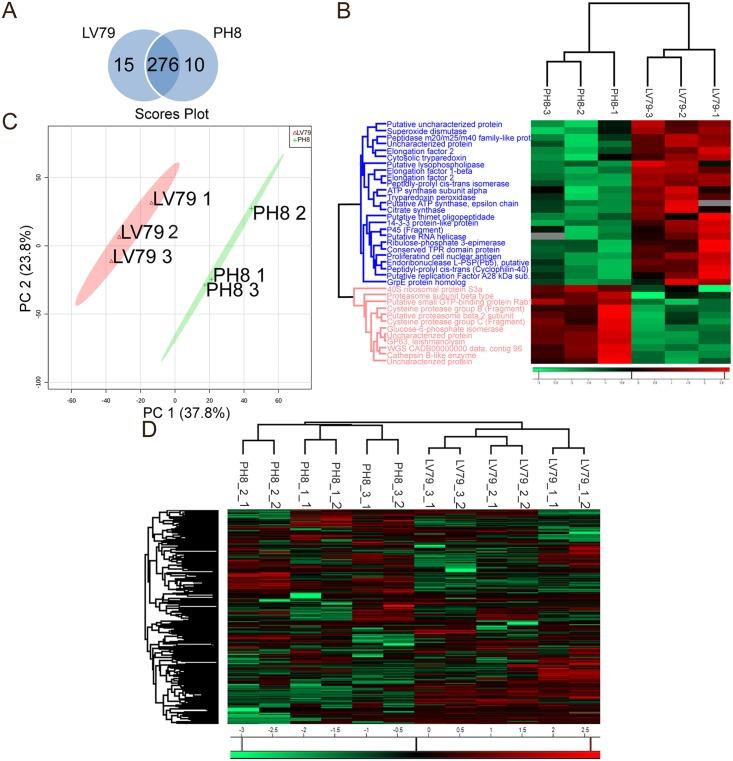https://cdn.ncbi.nlm.nih.gov/pmc/blobs/2437/5720813/a84029ee2574/pntd.0006090.g004.jpg