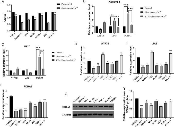 https://cdn.ncbi.nlm.nih.gov/pmc/blobs/2438/12151951/1a568638c1ac/12672_2025_2814_Fig2_HTML.jpg