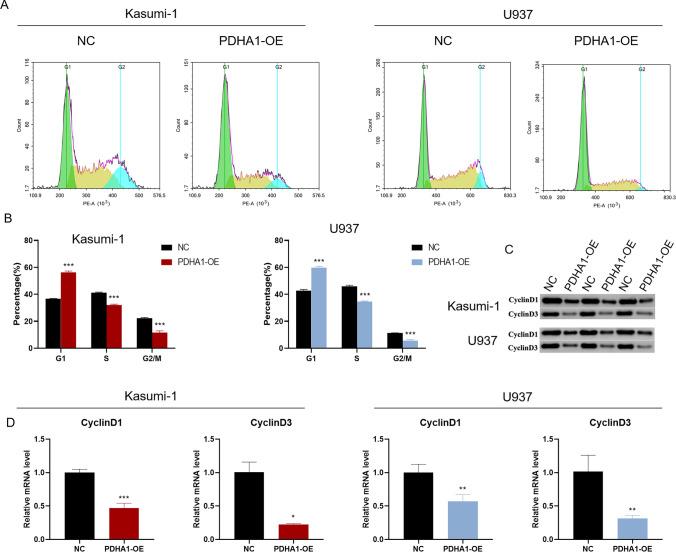 https://cdn.ncbi.nlm.nih.gov/pmc/blobs/2438/12151951/dffb1e5b8e08/12672_2025_2814_Fig4_HTML.jpg