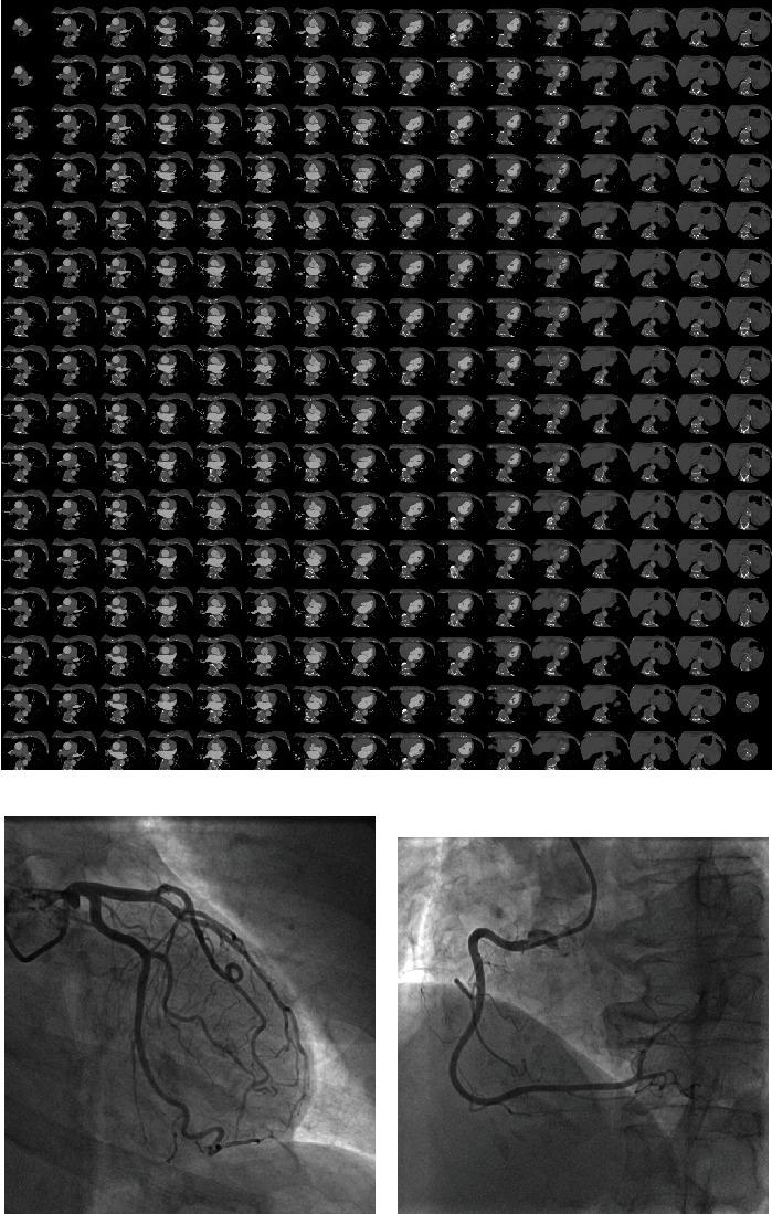 https://cdn.ncbi.nlm.nih.gov/pmc/blobs/243c/7762640/c2d65f7c2b8f/BMRI2020-6649410.002.jpg