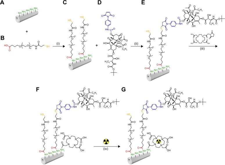 https://cdn.ncbi.nlm.nih.gov/pmc/blobs/243f/5587207/7181bfcfdf01/ijn-12-6357Fig1.jpg