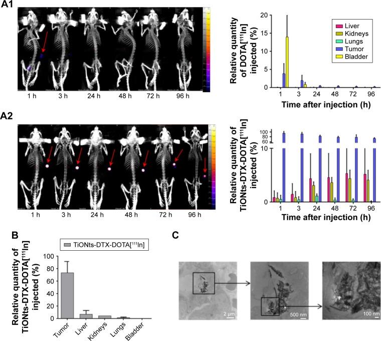 https://cdn.ncbi.nlm.nih.gov/pmc/blobs/243f/5587207/97f408565a56/ijn-12-6357Fig3.jpg