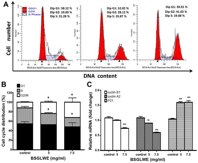 https://cdn.ncbi.nlm.nih.gov/pmc/blobs/2440/5403400/5314578ba610/IJO-50-05-1541-g01.jpg
