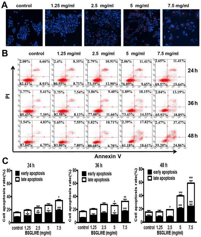 https://cdn.ncbi.nlm.nih.gov/pmc/blobs/2440/5403400/ec6da906f5a5/IJO-50-05-1541-g02.jpg