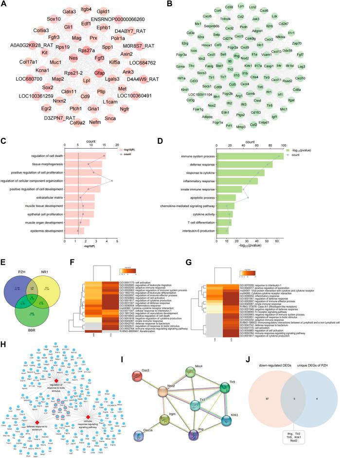 https://cdn.ncbi.nlm.nih.gov/pmc/blobs/2442/10826880/2ac10bb839e4/fphar-14-1288406-g006.jpg
