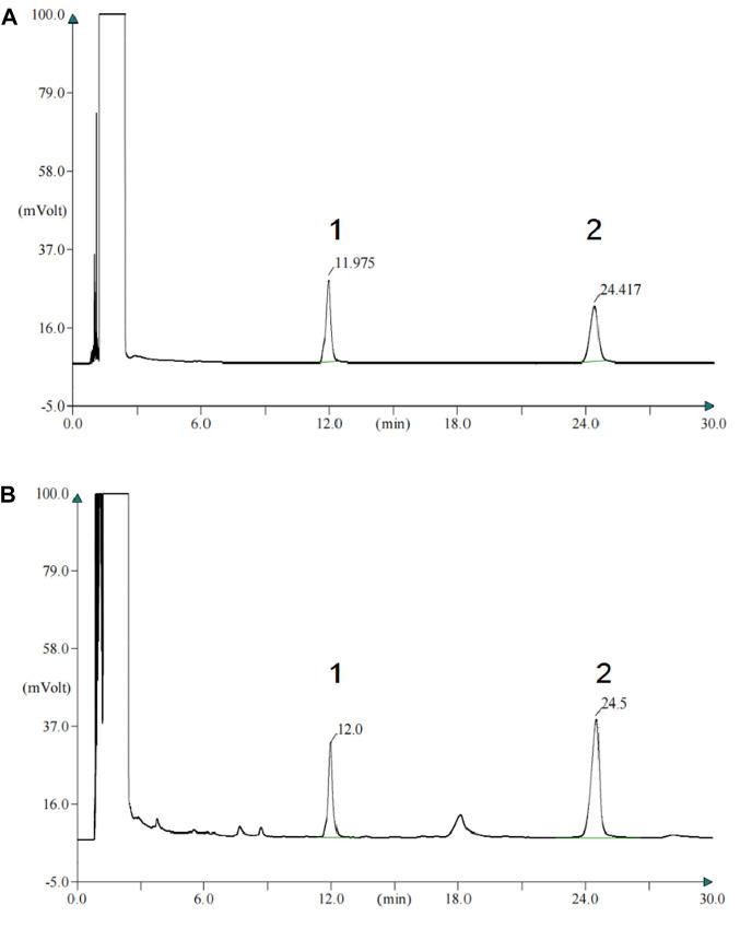 https://cdn.ncbi.nlm.nih.gov/pmc/blobs/2442/10826880/51cdaf5653a4/fphar-14-1288406-g001.jpg