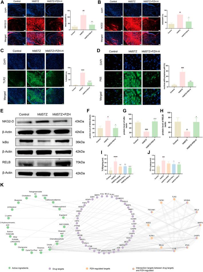 https://cdn.ncbi.nlm.nih.gov/pmc/blobs/2442/10826880/93c17dda8c81/fphar-14-1288406-g007.jpg